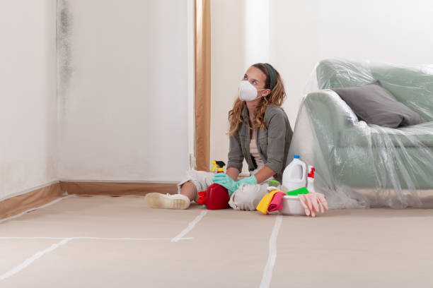 Reliable Mold Inspection contractor in Lodi, NJ by WQB Mold Removal